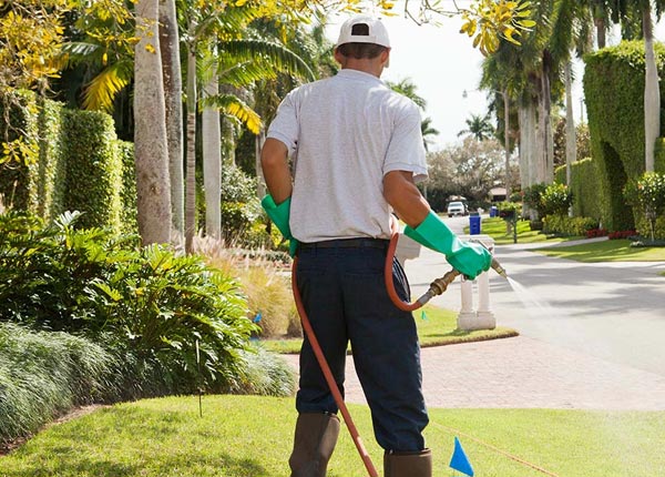 About Auberry CA Pest Control Pros